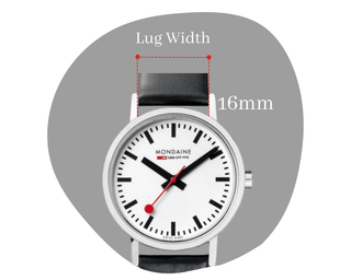 strapslp_grid2_16mm_080323_compressed_relative_080.png
