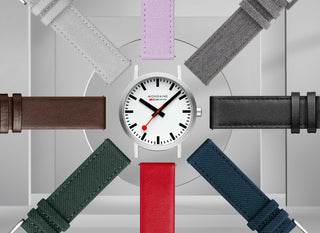 ICONIC_Straps_Desktop_V1_18042023_compressed_relative_060.jpg