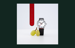 sustainability_campaign_collection_metafields_4_compressed_relative_060.png