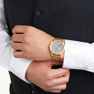 Classic, 40 mm, Good Gray goldene Edelstahluhr, A660.30360.80SBM, Person mit Armbanduhr am Handgelenk